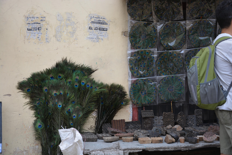 Jaipur: Amber Fort, Stadtpalast und Hawa Mahal Tagestour