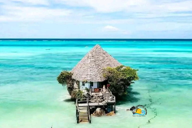 Zanzibar: Salaam Cave Turtles & Lunch at The Rock Restaurant Hotel Transfers within Southern region