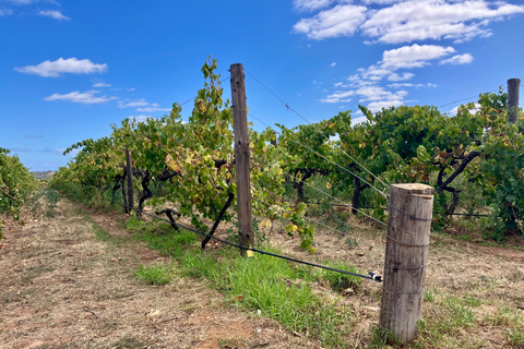 Adelaide: Onkaparinga Gorge Hike, Swim, and Winery Tour