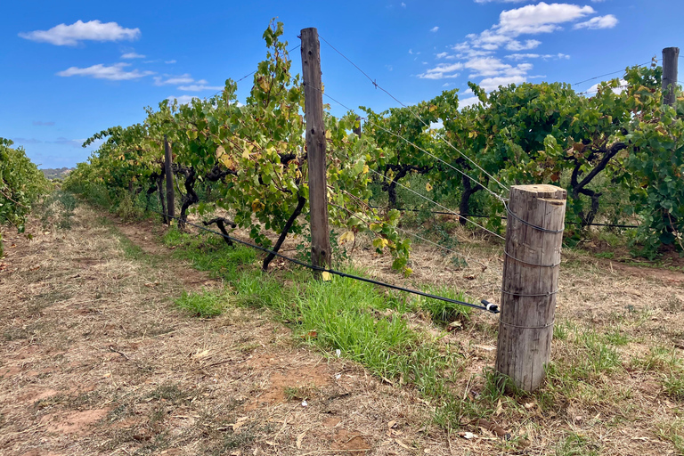 Adelaide: Onkaparinga Gorge Hike, Swim, and Winery Tour