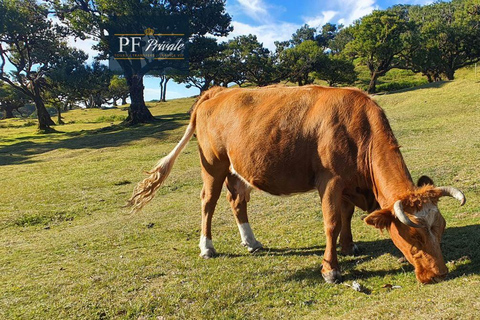 2-Day Madeira Tour: East & West with Local Guide & Tastings