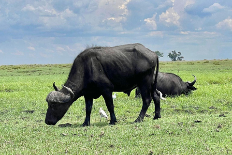Livingstone: Chobe River Premium Photo Cruise