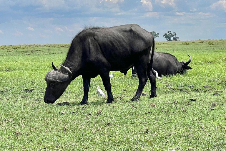 Livingstone: Chobe River Premium Photo Cruise