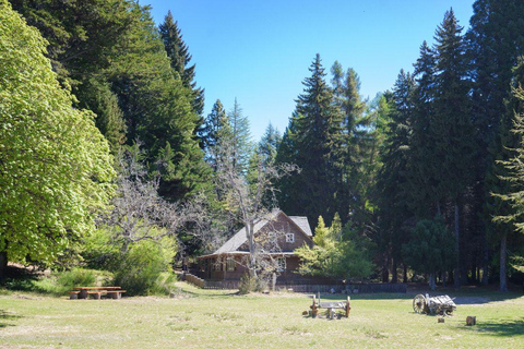 Bariloche: Boat Tour to Victoria Island and Arrayanes Forest Tour Without Transfer