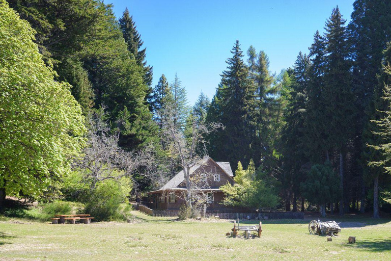 Bariloche: Boat Tour to Victoria Island and Arrayanes Forest Tour Without Transfer