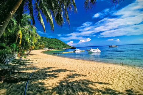 Ilha Cham: Experiência de mergulho com snorkel a partir de Danang