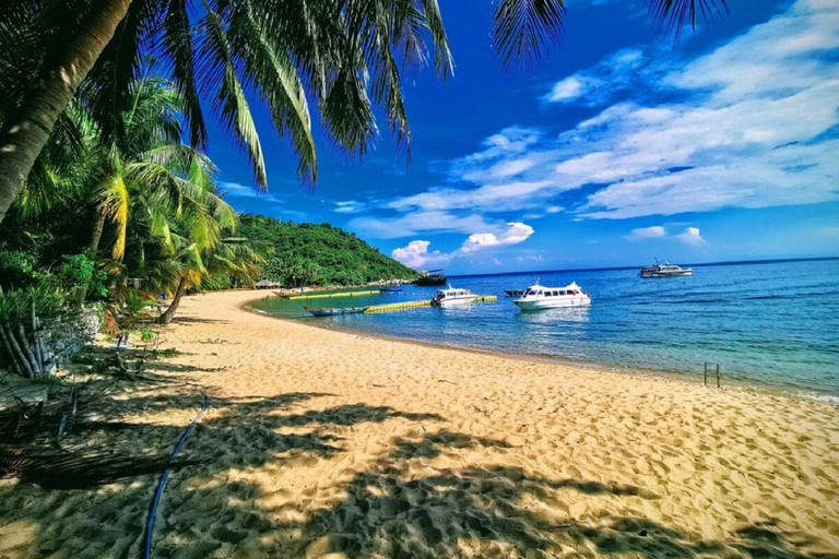 Ilha Cham: Experiência de mergulho com snorkel a partir de Danang