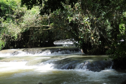 Jamaica: YS Falls en Black River Safari Day TourVanaf Negril Hotels