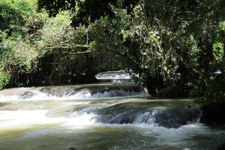 Jamaica: YS Falls and Black River Safari Day Tour From Negril Hotels