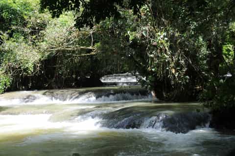 Jamaica: YS Falls and Black River Safari Day Tour