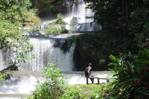 Jamaica: YS Falls en Black River Safari Day TourVan Grand Palladium
