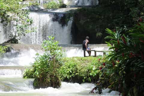 Jamaica: YS Falls and Black River Safari Day Tour