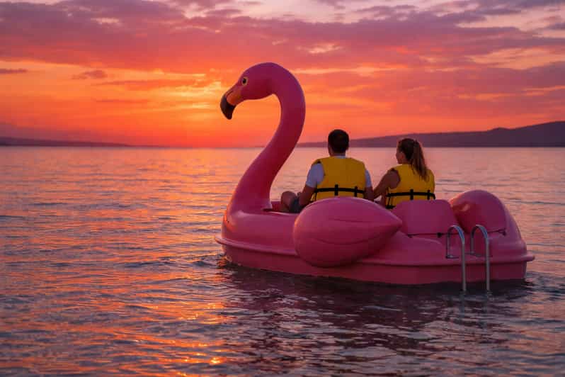 Flamingo Pedal Boat Rental at Perivolos Black Beach