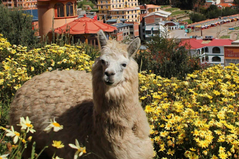 From Puno |3day excursion to La Paz and the Uyuni salt flats