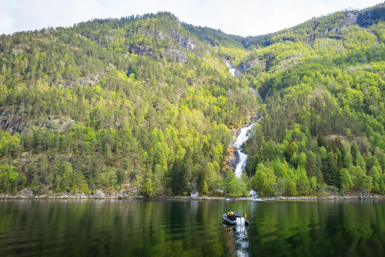 Avventura a Ulvik: Esplorare l&#039;Osafjord dell&#039;Hardangerfjord in gommoneUlvik: safari in RIB all&#039;Osafjord - un ramo dell&#039;Hardangerjord