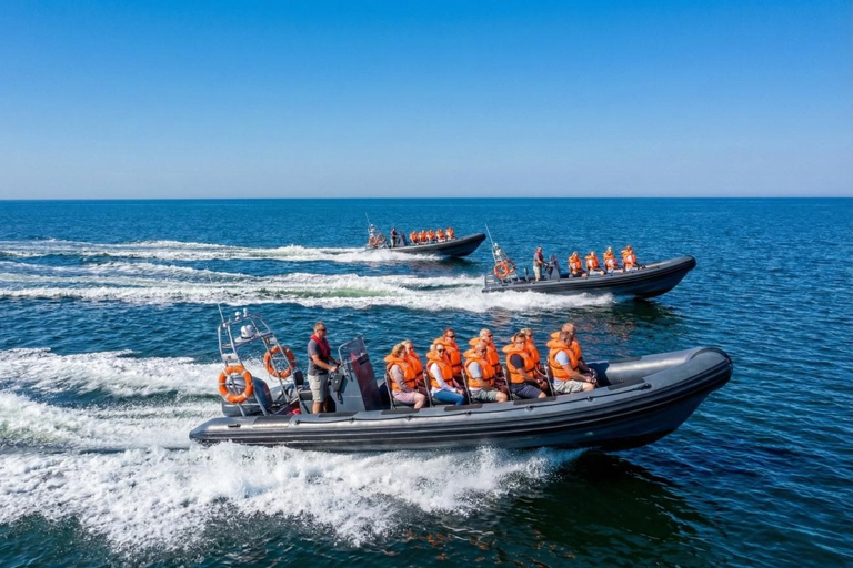 Gdańsk: Bay of Gdańsk Private High-Speed RIB Boat Transfer Sopot to Hel Private High-Speed RIB Boat Transfer