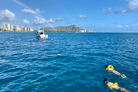 Oahu: Waikiki Turtle Canyon Snorkeling Tour (Small group) Waikiki: Sea Turtle Snorkel (Small group 20 People Max)
