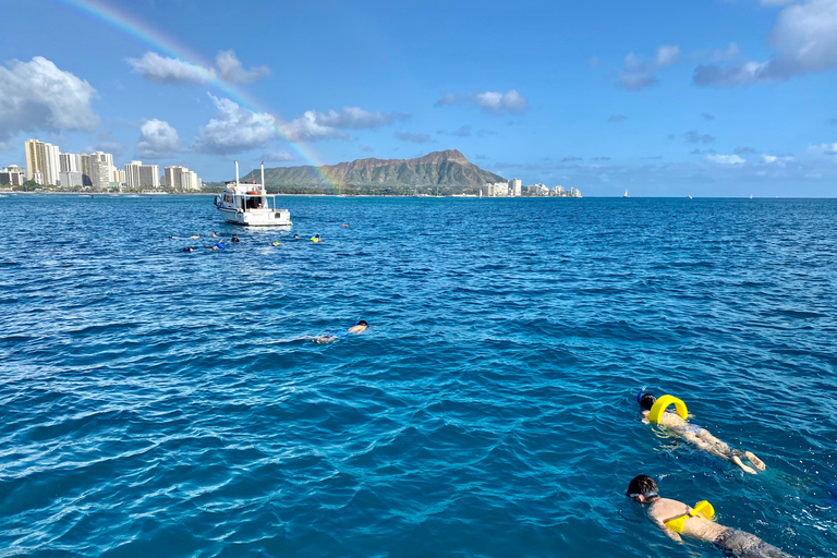 Oahu: Waikiki Turtle Canyon Snorkeling Tour (Small group) Waikiki: Sea Turtle Snorkel (Small group 20 People Max)