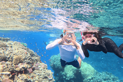 Saint Martin: Private Yoga & Sailing Retreat with Meals