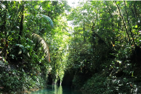 XCARET COLOMBIANO- Cañón de la Angostura Valle del Cauca