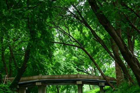 Hangzhou Xixi Wetland: Off the Beaten Path Rowboat & Stroll