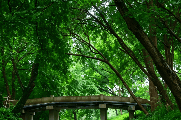 Hangzhou Xixi Wetland: Off the Beaten Path Rowboat & Stroll