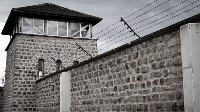 vienna day trip to mauthausen concentration camp memorial