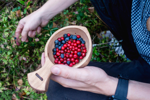Helsinki: Berry picking with guide & Finnish BBQ + Photos