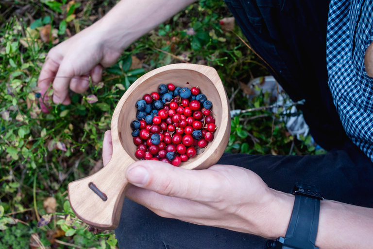 Helsinki: Berry picking with guide & Finnish BBQ + Photos