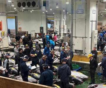 Tokyo: Toyosu og Tsukiji markedseventyr med tunfiskauksjon