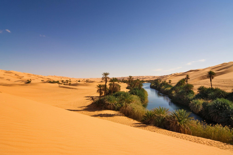 Da Agadir/Taghazout: dune di sabbia del Sahara con trasferimento
