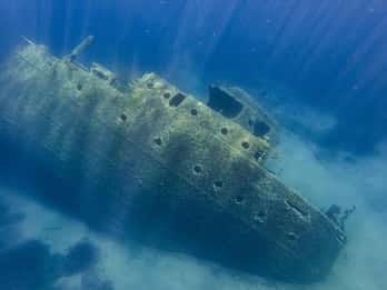 Elba Island boat trip to the Elviscot wreck