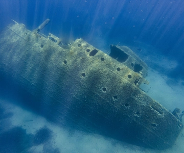 Elba Island boat trip to the Elviscot wreck