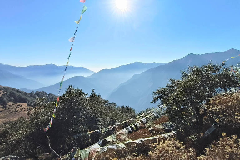Pokhara: 5-Day Khopra Danda Trek with Community Lodges