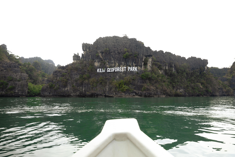Langkawi: Kilim Geopark Mangrove Tour with Eagle Watching