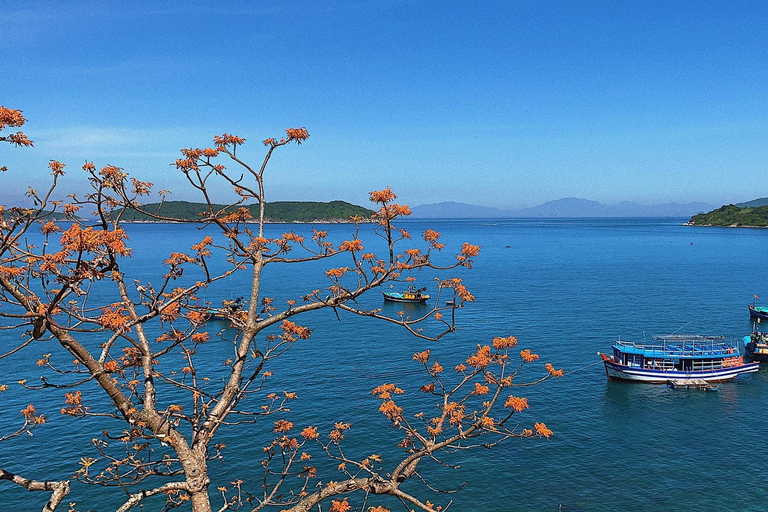 Tour di snorkeling delle isole Cham in motoscafo : Hoi An/Da NangRitiro a Hoi An