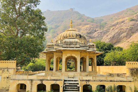 从德里出发：全包一日乘车游览斋浦尔