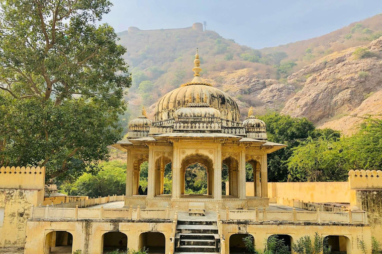 从德里出发：全包一日乘车游览斋浦尔