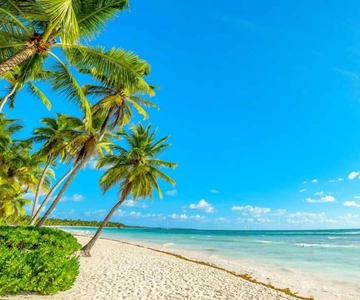 Samaná: viagem de catamarã a Cayo Levantado com almoço