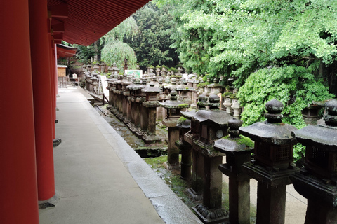 奈良：雾霭中与鹿共行的神圣晨间漫步奈良：雾中与鹿共行的神圣晨间漫步