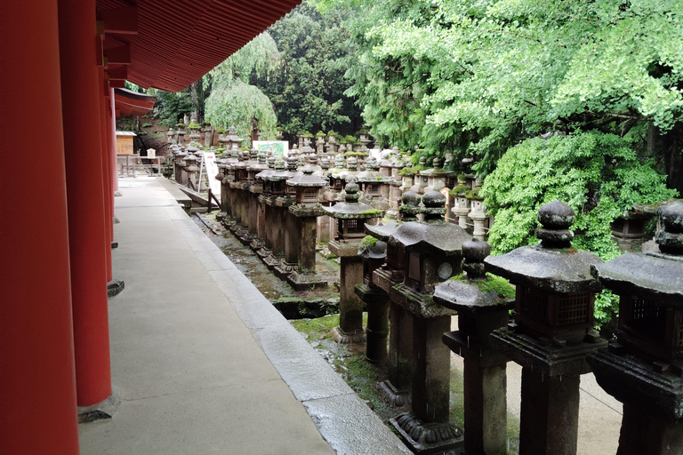 奈良：雾霭中与鹿共行的神圣晨间漫步奈良：雾中与鹿共行的神圣晨间漫步