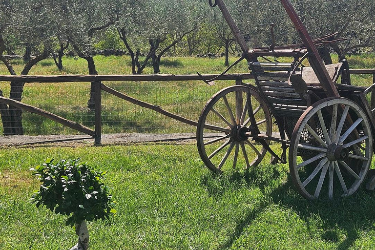 ETNA VILLAGES: OIL & RICOTTA TASTING with Lunch