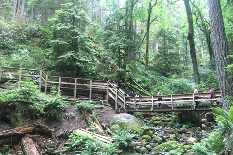 Vancouver: Lynn Canyon Park Hike & Pitt Meadows Bike Tour