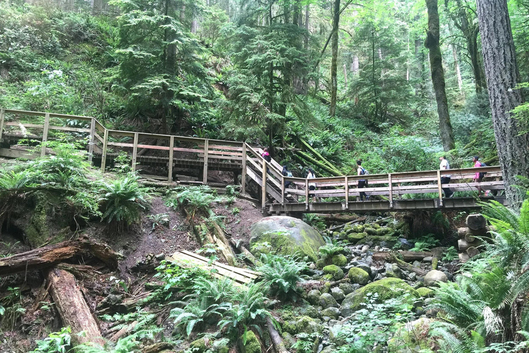 Vancouver: Lynn Canyon Park Hike & Pitt Meadows Bike Tour