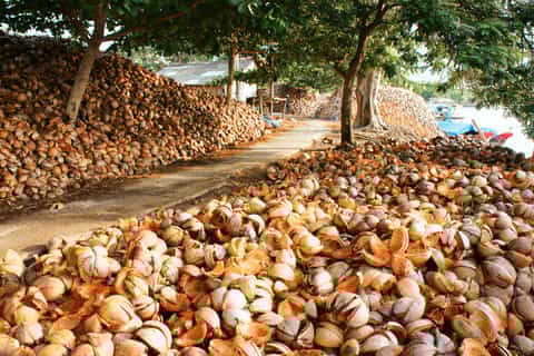From Ho Chi Minh City: Mekong Delta & Vinh Trang Pagoda Tour
