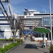 Osaka: Private 4/5/6h Tour For Cruise Ship Passengers