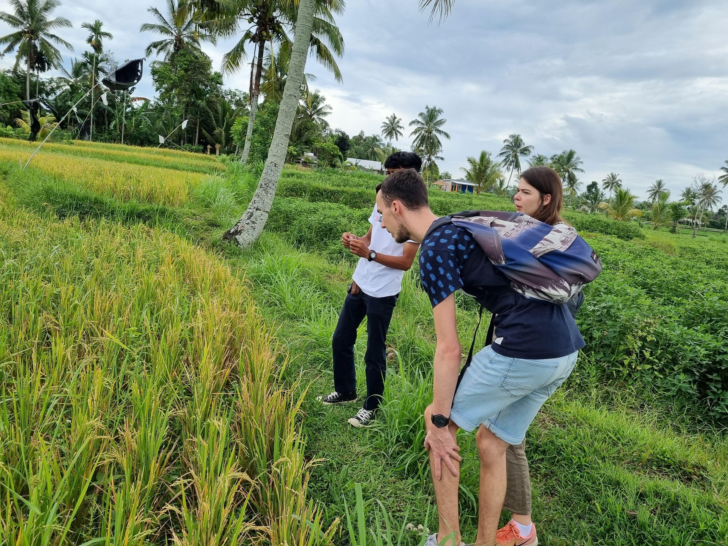 Lombok: Private Customizable Tour mit Driver-Guide