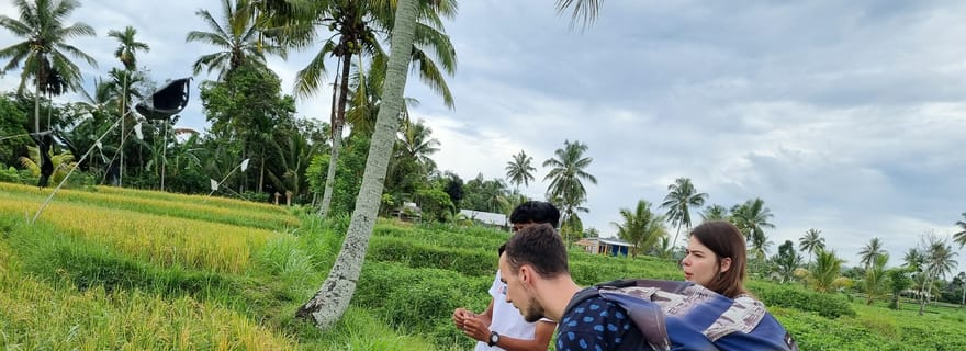 Lombok : Visite privée personnalisable avec chauffeur-guide