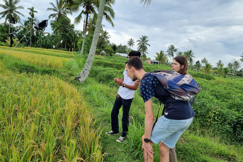 Lombok: Tour Privado Personalizado con Conductor-GuíaExcursión al norte de Lombok