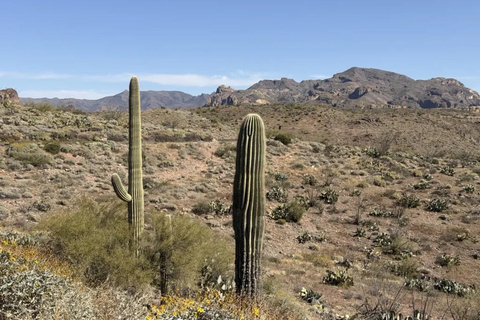 Apache Trail Full-Day Scenic Tour from Phoenix